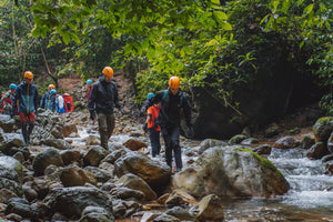 Phong Nha: Nuoc Nut Cave Discovery