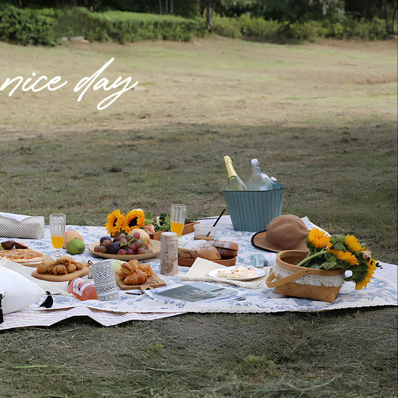 tham_picnic_2024_02_02226a0859e64a77accd6a30a8a5ac55 - Setago