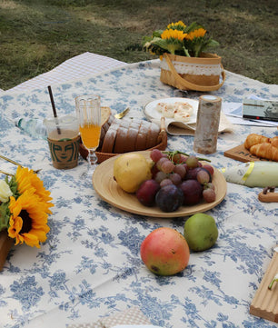 tham_picnic_2024_05_e93543fad2564a90a15c8b297bc734ff - Setago